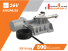 Mô tơ cổng âm sàn BR21-351 ITALIA