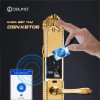 Khóa Vân Tay Cho Biệt Thự Đồng Mạ Vàng 24K OSN-KBT06 thumb
